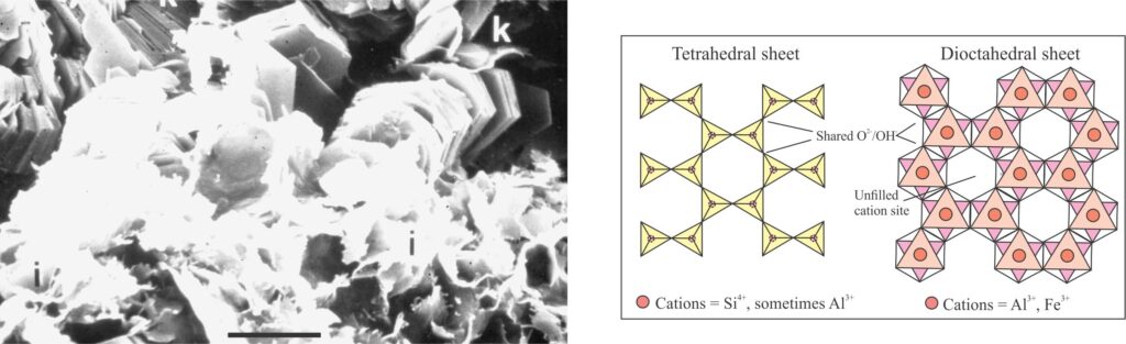 An SEM image showing common crystal habits of 1:1 layered kaolinite (k) and 2:1 layered illite(i), and (right) a diagrammatic view of the corresponding tetrahedral – dioctahedral sheets that compose their lattice structures.