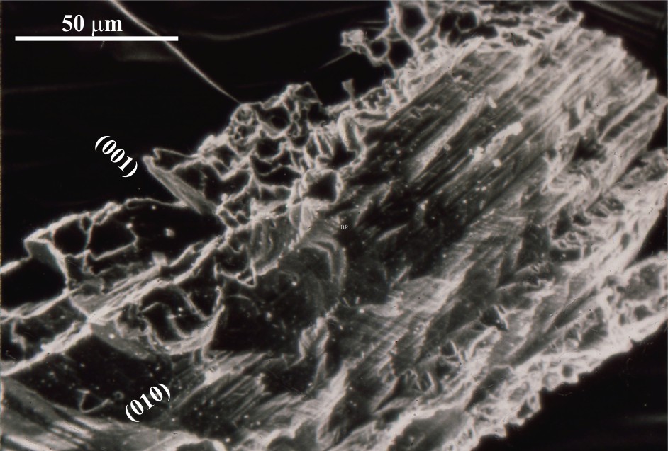 Leaching of this plagioclase sand grain has produced a more skeletal crystal outline. Leaching has emphasized the albite twin planes (010). 