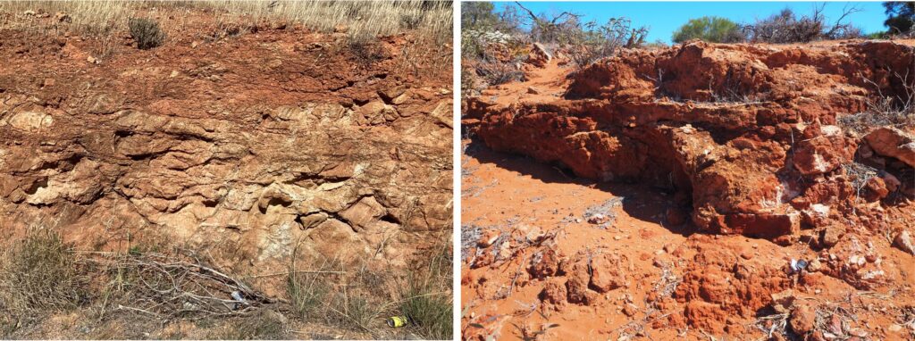Intensely weathered profiles in which oxidation has dominated – at least during the latter stages of weathering and mineral alteration. Left: A saprolite developed in metamorphosed diorite, where some of the original Precambrian gneissic layering is preserved. Visible feldspar phenocrysts are highly altered to iron oxides and a white powdery mineral that is probably clay. The saprolite is overlain by a soil zone where all original bedrock textures have been destroyed. Highway 1 about 100 km north of Kalbarri, Western Australia. Right: Intensely oxidized Pleistocene bedrock (Peron Sandstone) where no original textures are preserved except crude horizontal layering. Monkey Mia, Shark Bay, Western Australia.