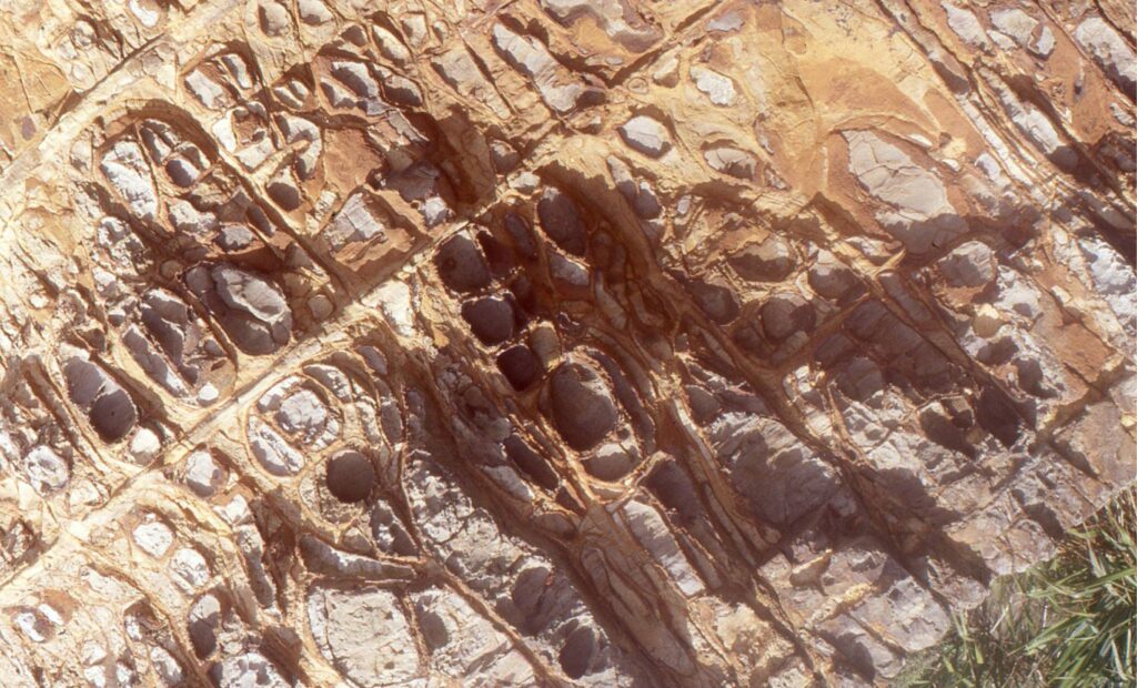 Saprolite developed in Triassic lithic arenites. Mineral alteration and leaching are emphasized by through-going iron oxidation focused along bedding and fracture networks that are normal to bedding. Less altered bedrock (the grey remnants) is encased in a mix of iron oxides and (probably) clays. Kiritehere, New Zealand.